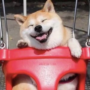 Meet your Posher, Beanbag